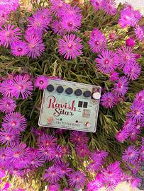 Electro-Harmonix Ravish Sitar