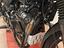 Immagine 12