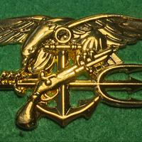 Fregio Navy Seals in metallo
