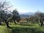 Immagine 20