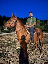 Siciliano