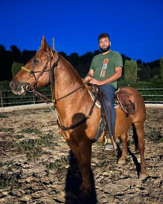 Siciliano