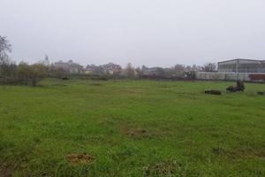 Immobile in asta di 11139 m² a Voghera