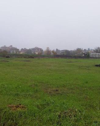 Immobile in asta di 11139 m² a Voghera