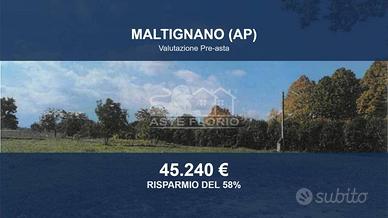 Immobile in asta di 7944 m² a Maltignano