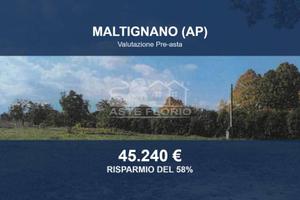 Immobile in asta di 7944 m² a Maltignano