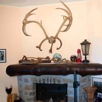 Da collezione e arredamento