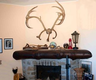 Da collezione e arredamento