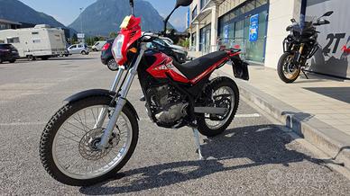 Beta Alp 200