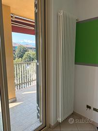 Termosifone Zehnder tubolare ad acqua