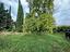 Immagine 22