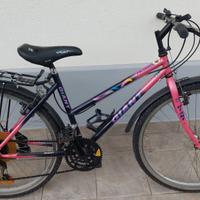 Bici mtb
