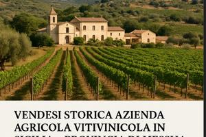 Azienda vitivinicola DOC