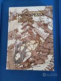La principessa del castello senza fine