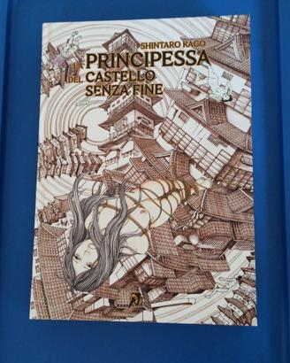 La principessa del castello senza fine