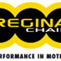 Catene Regina nuove per vari modelli di moto