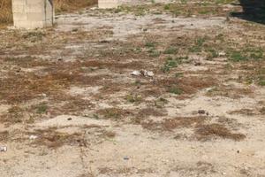 Suolo edificabile posizione principale