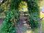 Immagine 24