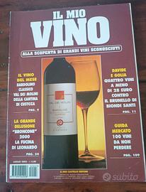 Rivista il mio vino Luglio 2005 Bardolino classico