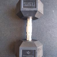 manubrio esagonale 17.5kg kingsbox hex dumbbell