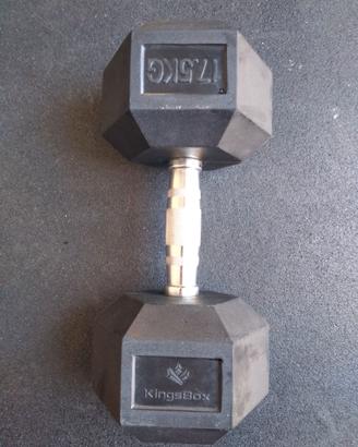 manubrio esagonale 17.5kg kingsbox hex dumbbell