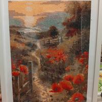 diamond painting con cornice