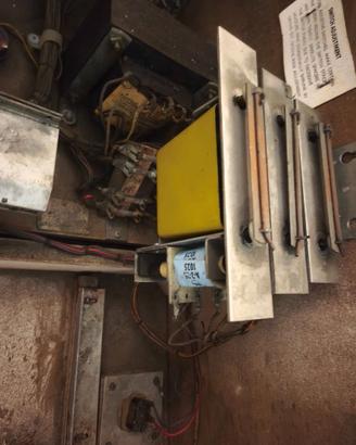 flipper Williams Tropic Fun