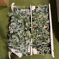 Pianta artificiale da parete