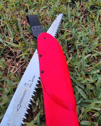 Segaccio felco