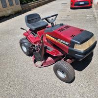 trattorino taglia erba