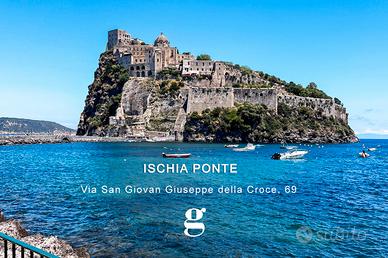 Appartamento Ischia [Cod. rif 3235383VRG] (Ischia