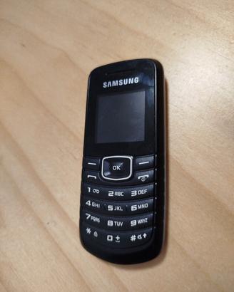 Samsung GT-E1080W