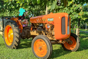 Trattore Fiat 221 R frutteto