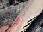 Immagine 5