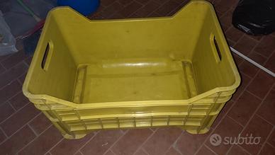 Cassette da Uva/olive