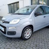 FIAT Panda 1.2 BENZINA 69CV EASY PREZZO REALE!