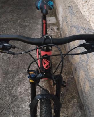 Torpado Mercury 29
