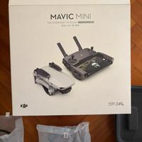 Dji mavic mini