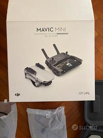 Dji mavic mini