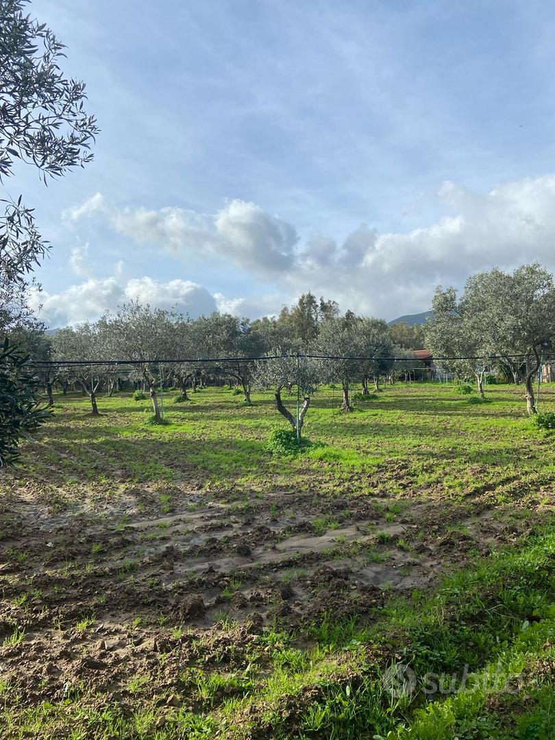 Casa in campagna - Vista 2