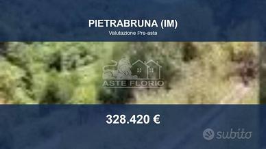 Immobile in asta di 10150 m² a Pietrabruna
