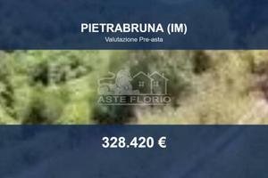 Immobile in asta di 10150 m² a Pietrabruna