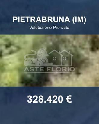 Immobile in asta di 10150 m² a Pietrabruna