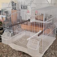 Gabbietta grande  x pappagalli bengalini ecc