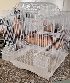 Gabbietta grande  x pappagalli bengalini ecc