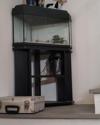 acquario angolare