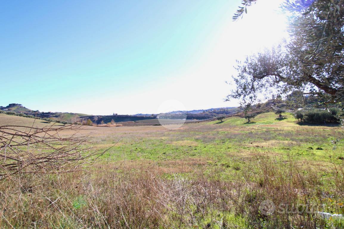 RUSTICO A PINETO - Vista 2