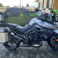 Triumph Tiger XRX 800