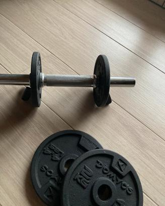 Panca e pesi palestra