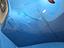 Immagine 12